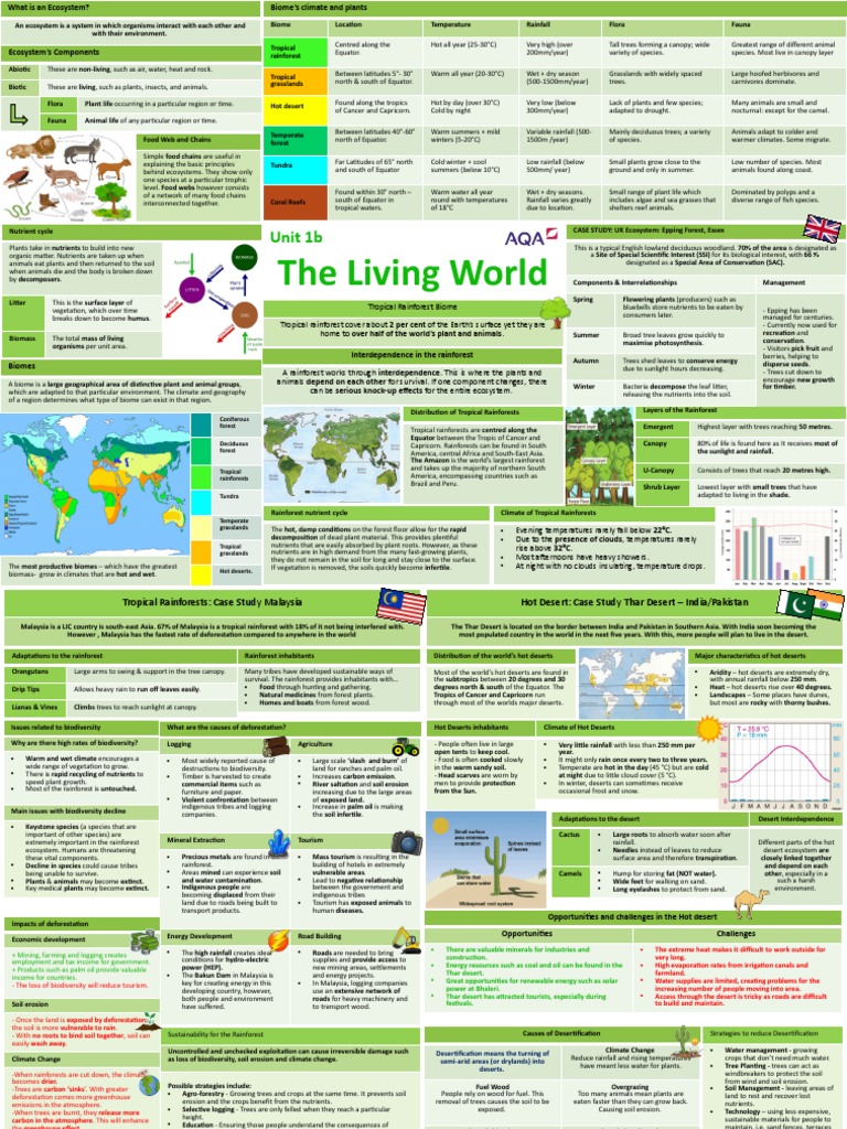 Epping Forest Ecosystem Dynamics | PDF | Rainforest | Forests