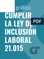 Guia Grafica Ley 21015 - v9