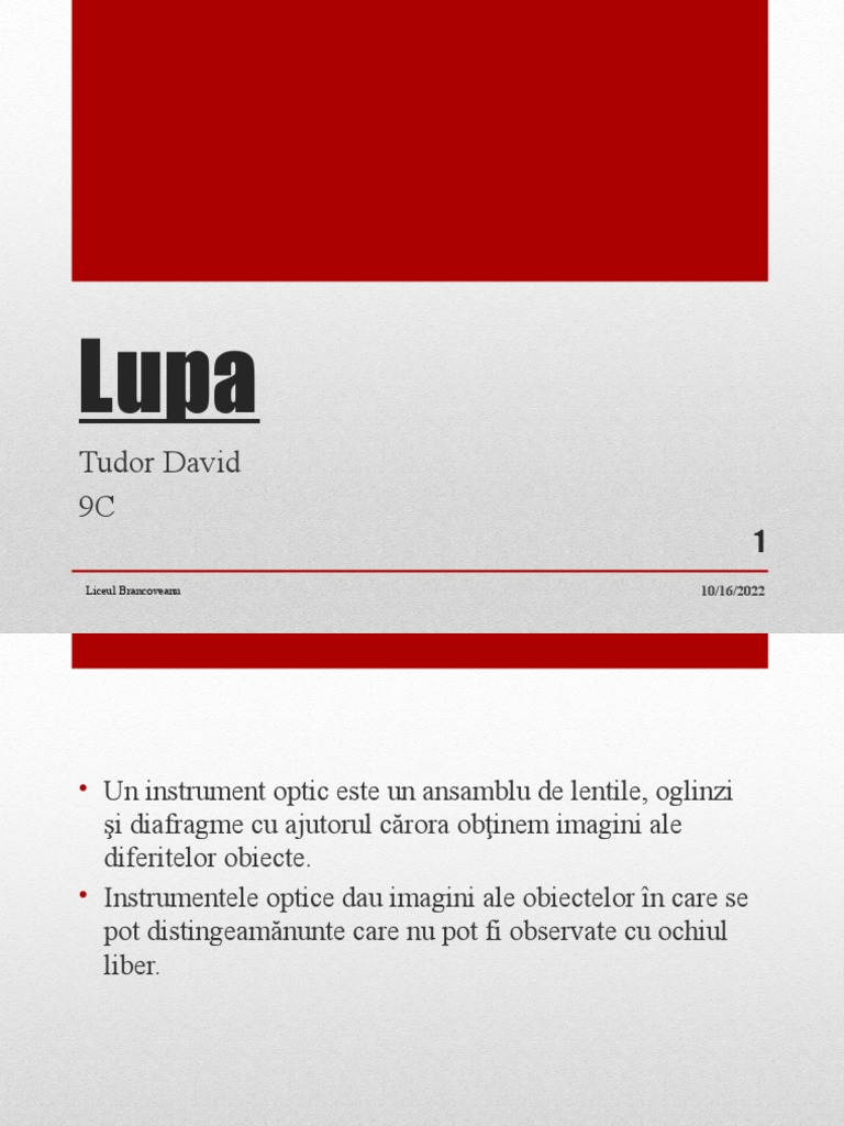Lupa | PDF