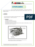 El-Citoplasma Tarea Domiciliaria