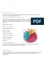 Investigación de Mercado - Grupo2