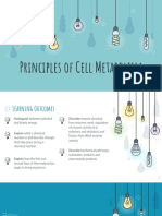 3 Principles of Cell Metabolism