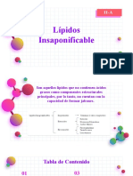 Lipidos Insaponificables