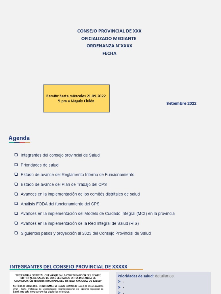 Esquema - Avances Del Consejo Provincial de Salud | PDF