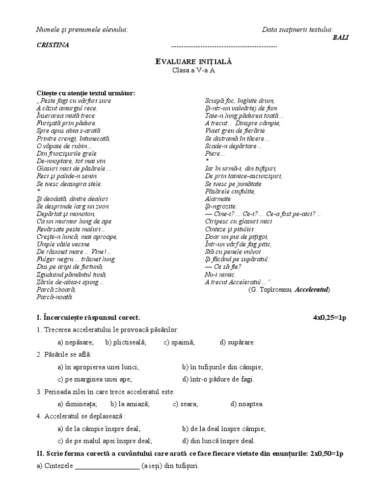 Test Initial V Adaptat | PDF
