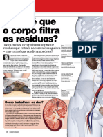 Quero Saber - Corpo Humano - Rins