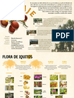 Grupo 08 - Infografías S03