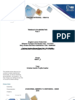 PDF Trabajo Colaborativo Calculo Integral Tarea 1 Grupo 100411 3 DL