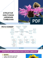 Struktur dan Fungsi Jaringan Tumbuhan