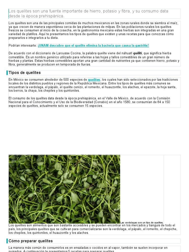 Planeacion de Quelites | PDF | Alimentos | Comida y bebida