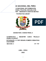 Policia Nacional Del Peru, Tarea