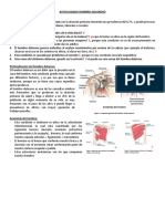 Autocuidado Hombro Doloroso