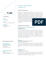 Copia de Green and Black Minimalist Resume