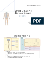 신경계의 구조와 기능-1