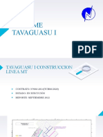 INFORME  TAVAGUASU