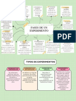 Mapa Mental Fases Del Experimento