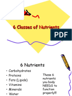 6 Classes of Nutrients Sara Savarud