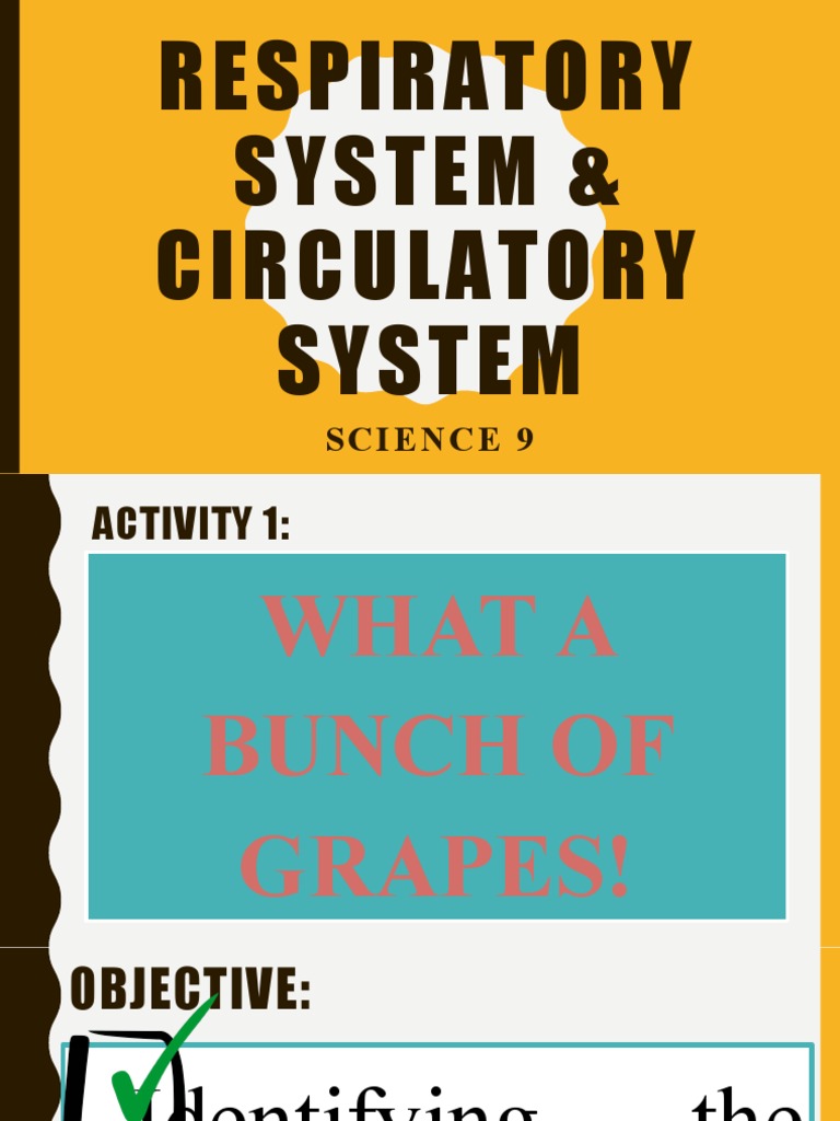 Activity 1 what a bunch of grapes pdf