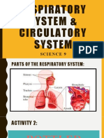 Respiratory & Circulatory Model