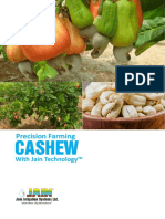 Cashew UHDP