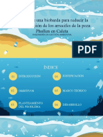 PROYECTO Ingeniería en Gestion Ambiental