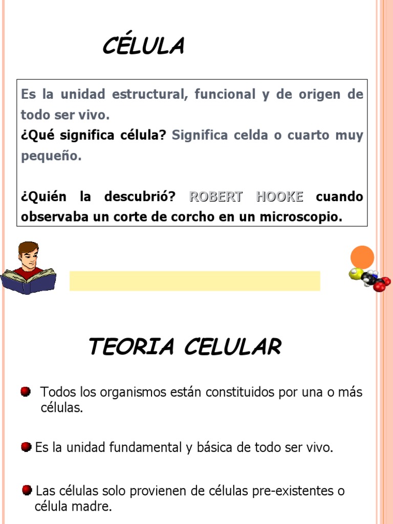 Tipos y Estructura de las Células | PDF | Citoplasma | Biología Celular)