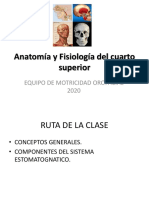1.anatomía y Fisiología Del Cuarto Superior