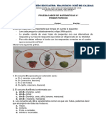 Prueba Matematica