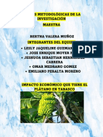 Impacto Económico Del Plátano