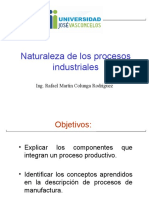 Naturaleza de Los Procesos Industriales