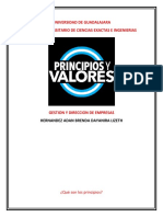 Principios y Valores