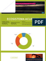 Ecosistema Acuático