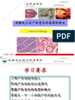 3 1动物死亡后尸体变化的类型和特点