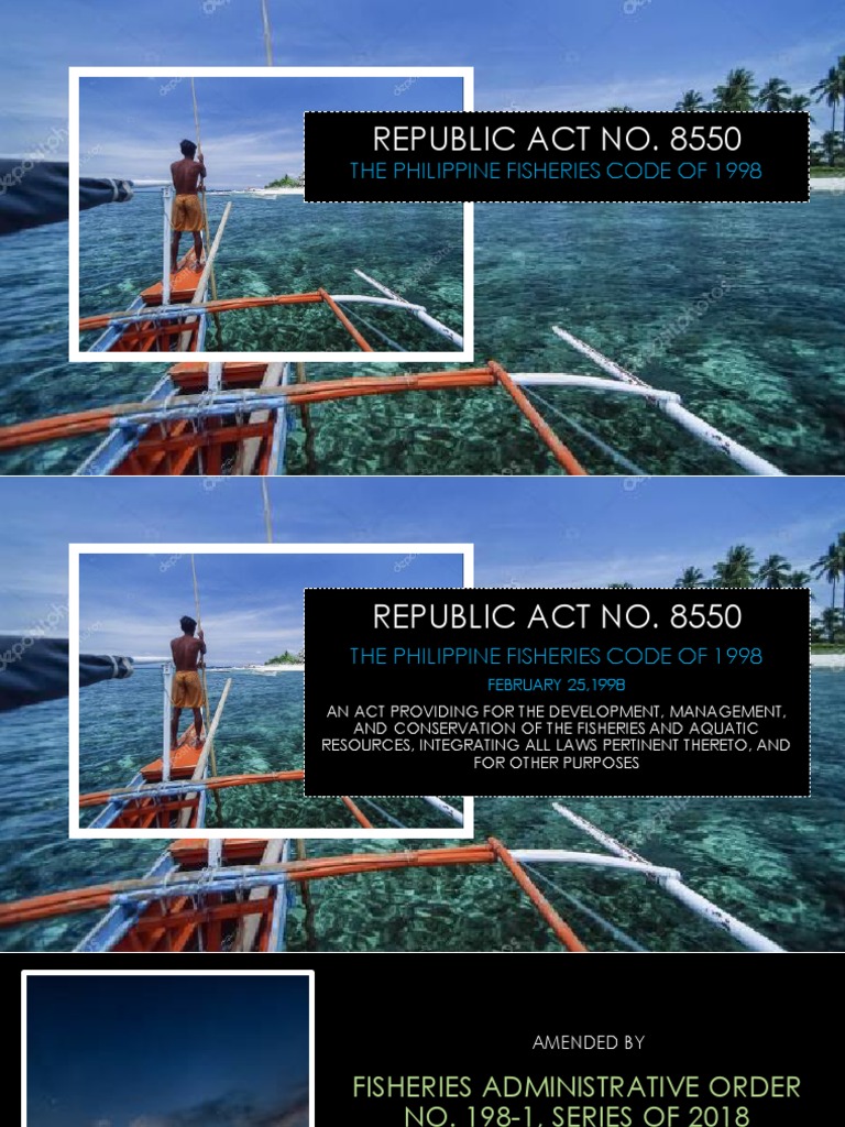 Report On The Phil Fisheries Code by Quibilan H. Frances PDF Fishery Natural Environment