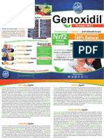 Diptico Genoxidil 2020 Ingles-1