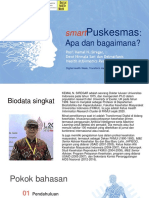 SmartPuskesmas, Apa Dan Bagaimana - Prof Kemal NS