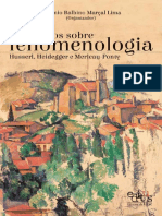 Ensaios Sobre Fenomenologia Husserl - Heidgger - Ponty