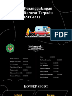 Disman SPGDT-1