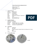 DHEA NOVITA SARI LAPORAN PRAKTIKUM FARMAKOGNOSI 2