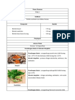 Kelompok 2-Herbal Medicine