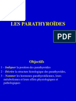 Histologie de La Glande Parathyroïde