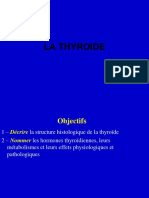 Histologie de La Thyroïde