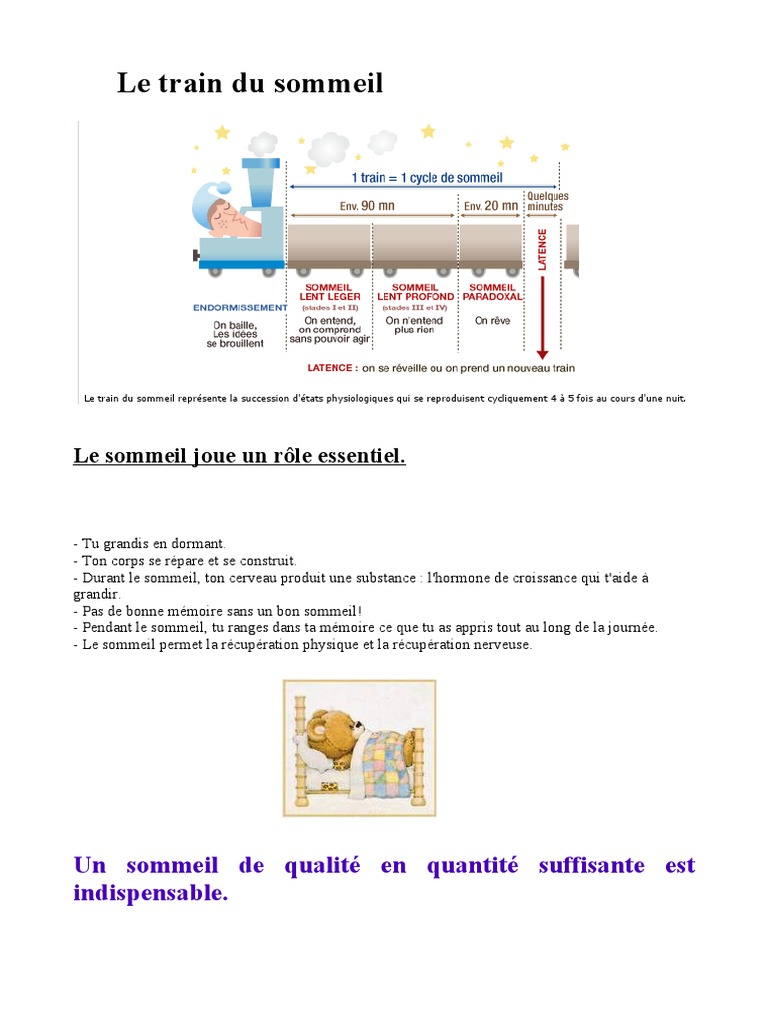 Le Train du Sommeil et son Importance | PDF | Sommeil | Organismes