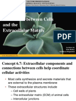 3.2 Interaction Between Cells and The ECM