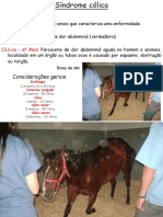 Afecções cirúrgicas do sistema digestório dos equinos III