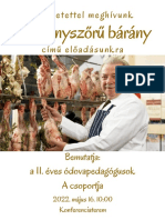 Az Aranyszőrű Bárány Meghívó 02