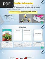 Estructura de una Cartilla Informativa | PDF