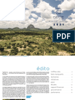 Rapport Annuel Nitidae 2021