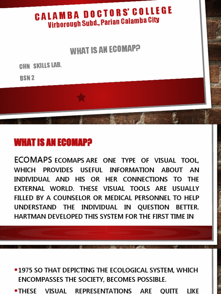 Understanding Ecomaps in Nursing and Social Work | PDF | Nursing ...