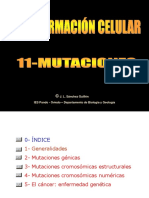 14 - Mutaciones